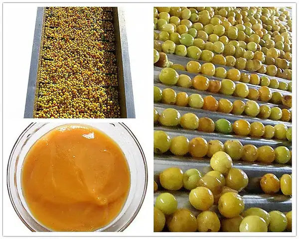 ​Apricot Puree Concentrate