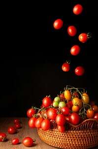 Tomato paste