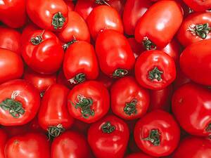 tomato