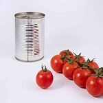 canned tomato paste