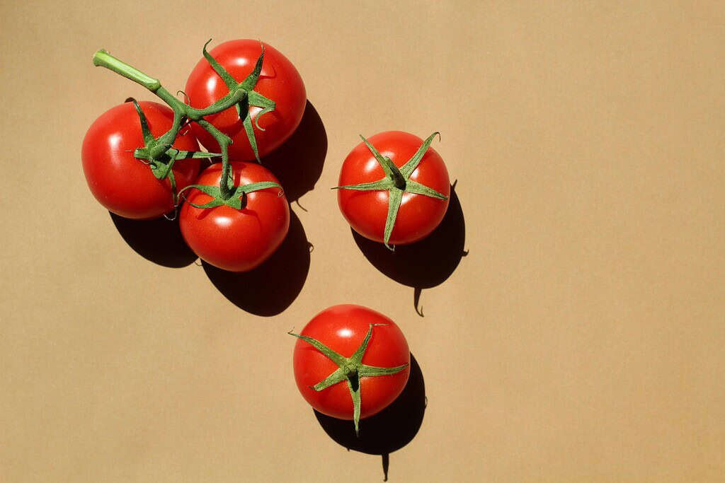 the tomato