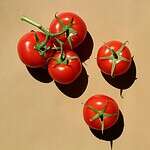 the tomato