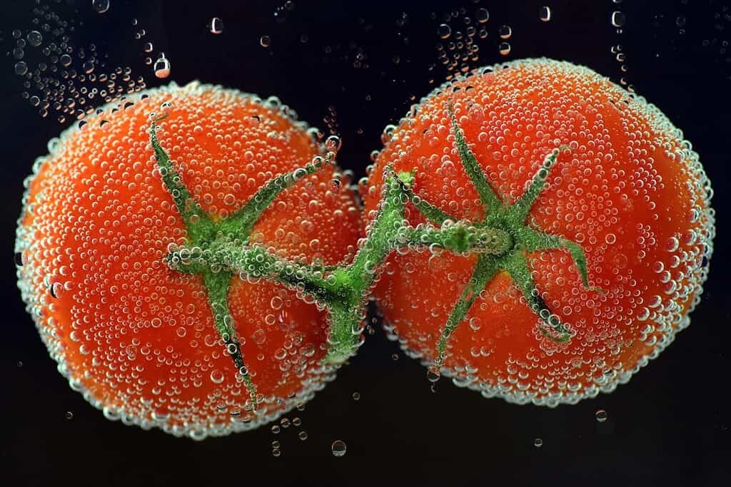 Tomato in water