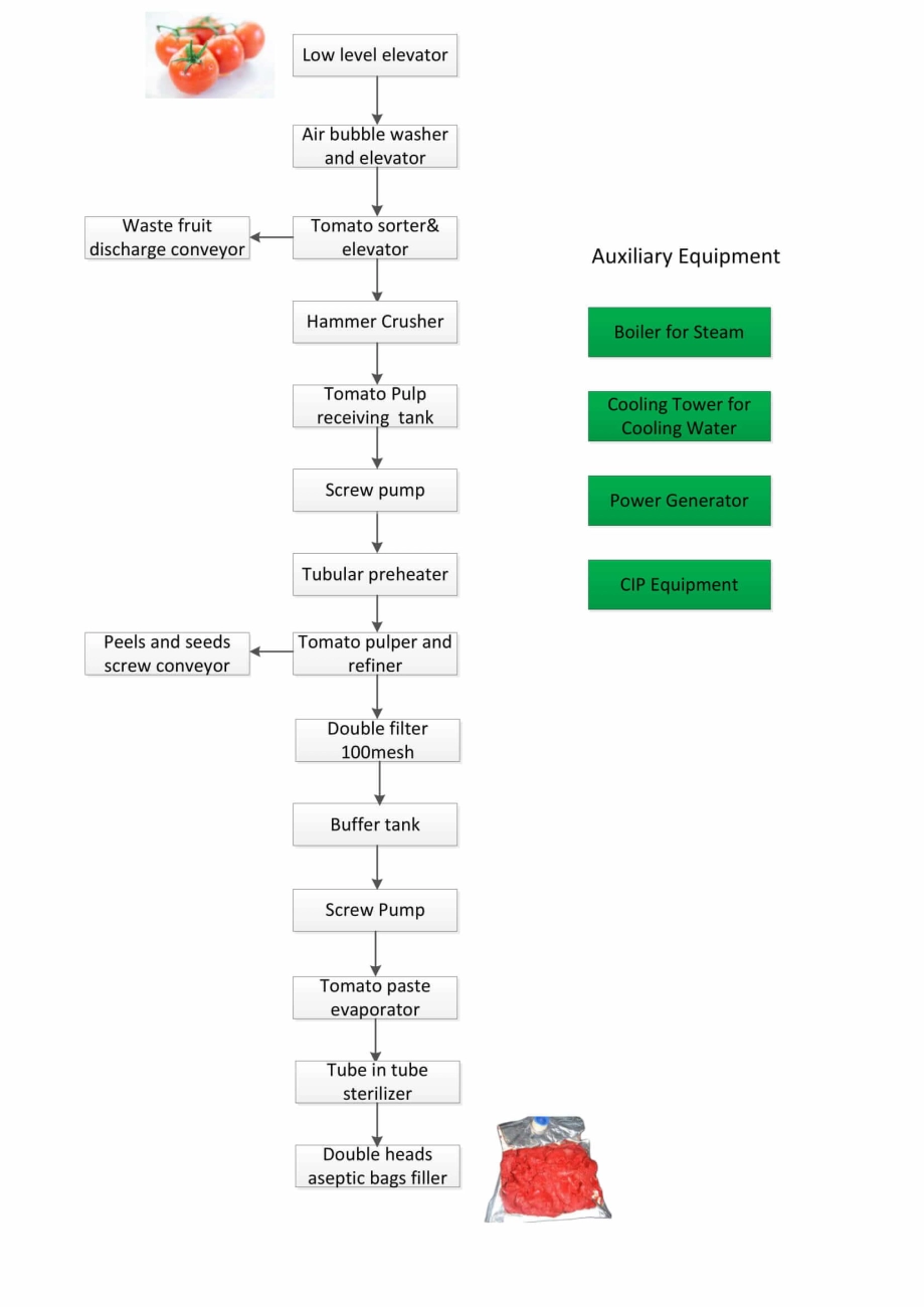 Tomato Paste Production Process Steps